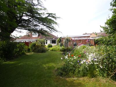 Picture 28